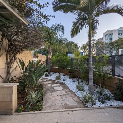 שביל אבן בגינה עם צמחים ודקלים