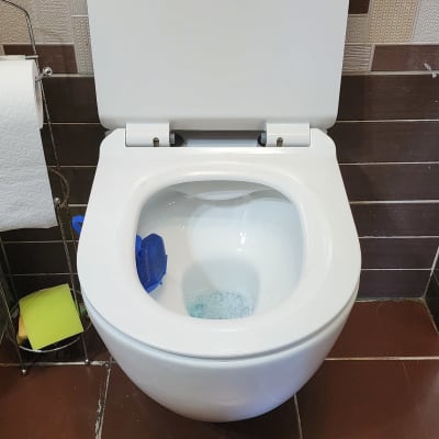 אסלה עם חומר ניקוי כחול בתוכה