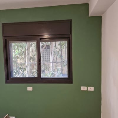 קיר פנימי שנצבע בצבע ירוק דקורטיבי לצד תקרה לבנה וחלון