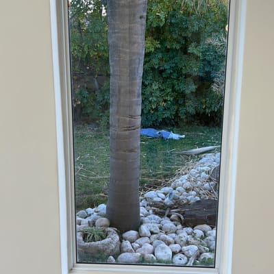 חלון נקי עם נוף של עץ ודשא בחוץ