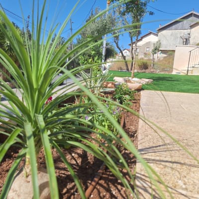 צמח ירוק באדמה עם מערכת השקיה