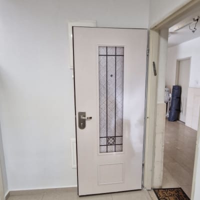 דלת עם ציפוי דקורטיבי ומנעול כסוף