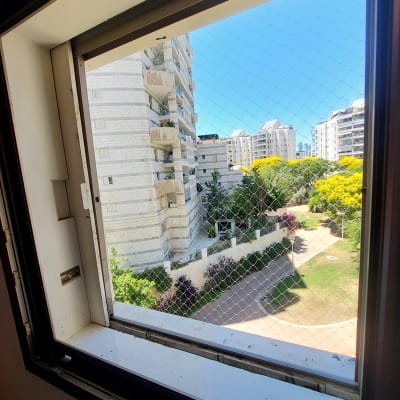 רשת יונים מותקנת על חלון למניעת כניסת יונים