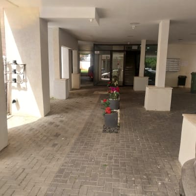 עציצים עם פרחים צבעוניים בכניסה לבניין