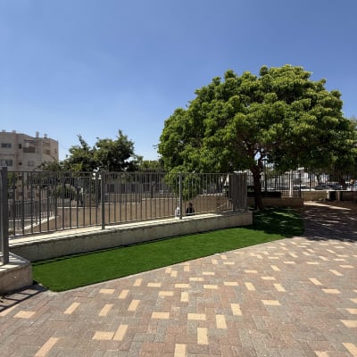 עץ גדול ודשא סינטטי ליד שביל מרוצף