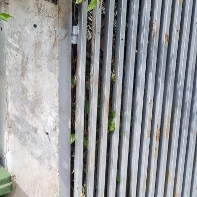 שער מתכת אפור עם עלים ירוקים מסביב