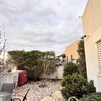 גינה עם עצים ושיחים ליד מבנה