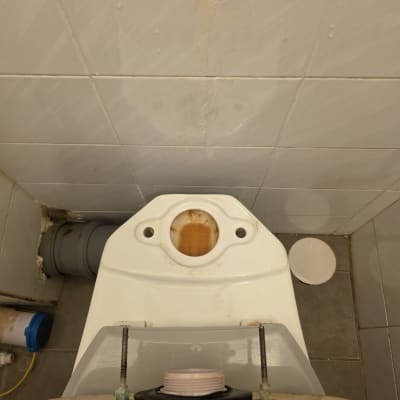 אסלה ללא מכסה בחדר אמבטיה