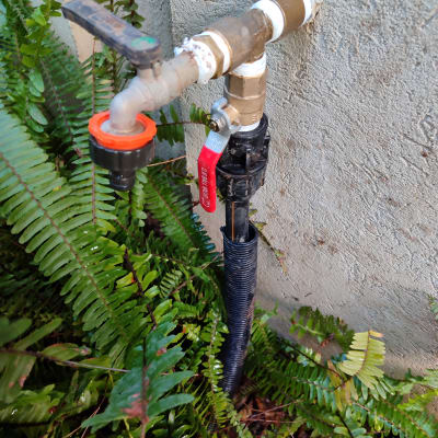 ברז מים עם צינור ליד קיר ושרכים