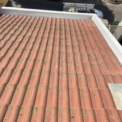 גג רעפים אדומים עם מעט אזוב ירוק