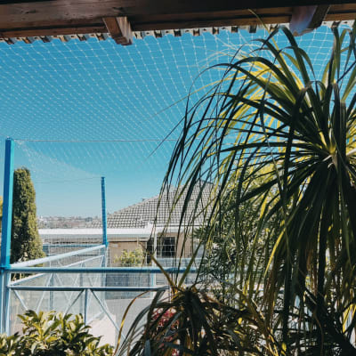 רשת נגד יונים מותקנת על עמודים כחולים