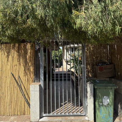 שער מתכת עם גדר במבוק ופח ירוק