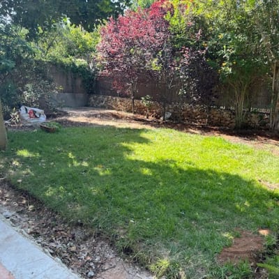 גינה עם דשא ירוק, עצים ושק אדמה