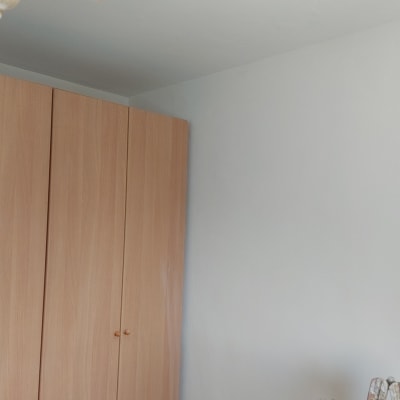 סולם צבוע ליד קיר לבן