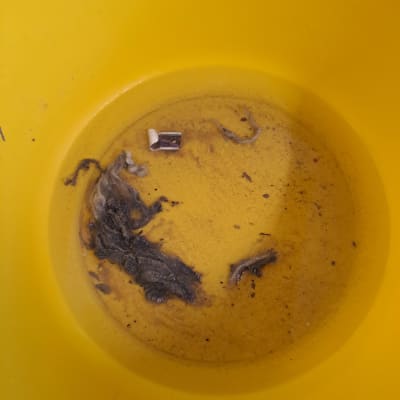 תמונה אינה מציגה עבודה בתחום