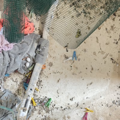 רשת ירוקה, אטבים צבעוניים, ביצים על מגבת