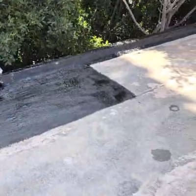 גג עם איטום חלקי ועצים ברקע
