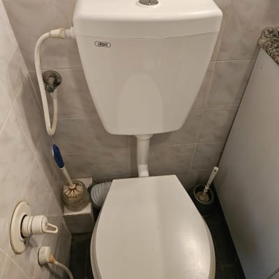 אסלה עם מיכל הדחה, מברשת ניקוי וצינור מים