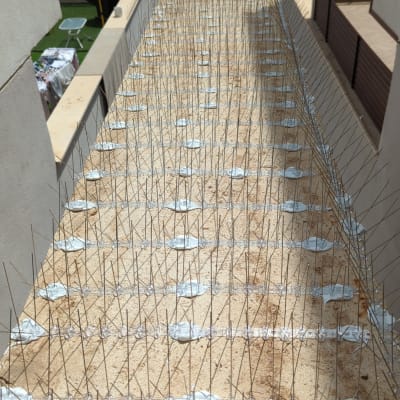 דוקרנים למניעת יונים על גג בניין