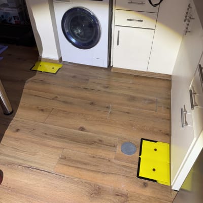 מלכודות מזיקים צהובות על רצפת עץ ליד מכונת כביסה.