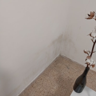 קיר עם סימני רטיבות, מתאים לצביעה ותיקון