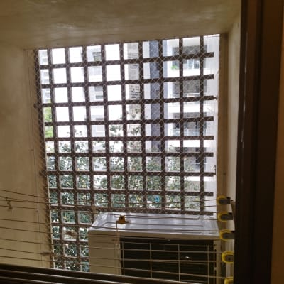 רשת מתכת על חלון למניעת כניסת יונים