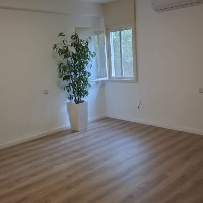 חדר ריק עם פרקט וצמח בפינה