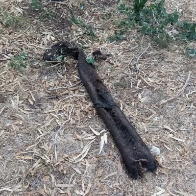 צינור יניקה של משאית ואקום על הקרקע