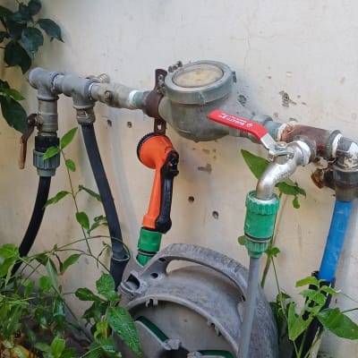 ברזים וצינורות ליד קיר עם צמחייה