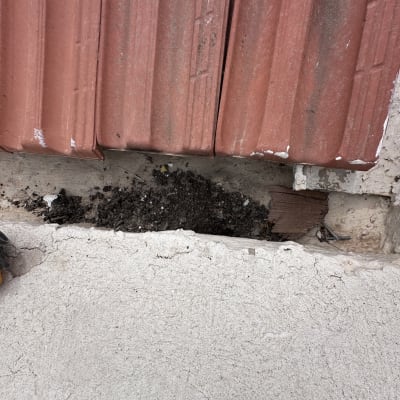 תמונה של רעפים עם סדקים ותיקונים