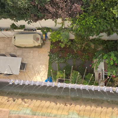 דוקרנים למניעת יונים מותקנים על גג
