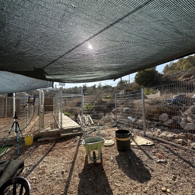 תמונה אינה מציגה עבודה בתחום