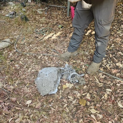 אדם עם כפפות ליד קן צרעות בגינה