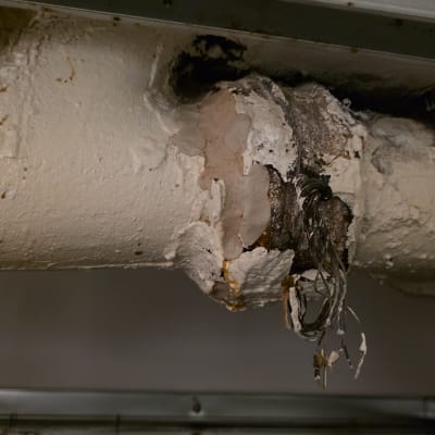 צינור פגום עם סימני חלודה ונזק