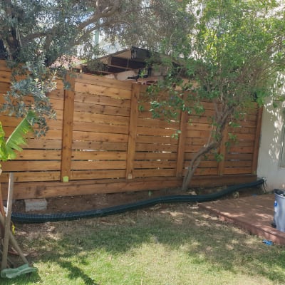 גדר עץ עם עצים מסביב בגינה