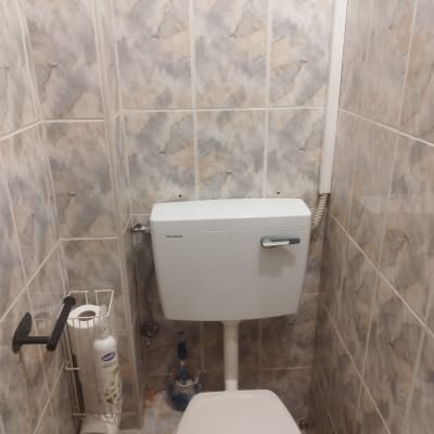 אסלה עם מיכל הדחה, מברשת ניקוי בצד