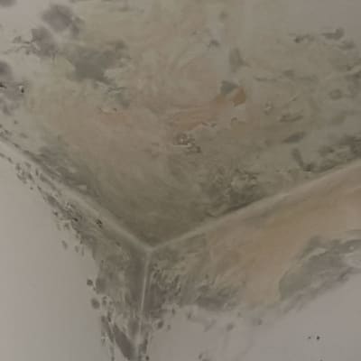 תקרה עם סימני רטיבות ועובש