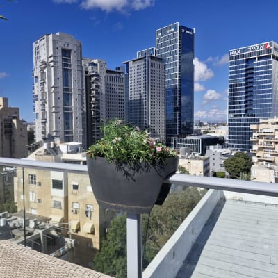 עציץ עם פרחים על מרפסת מול גורדי שחקים