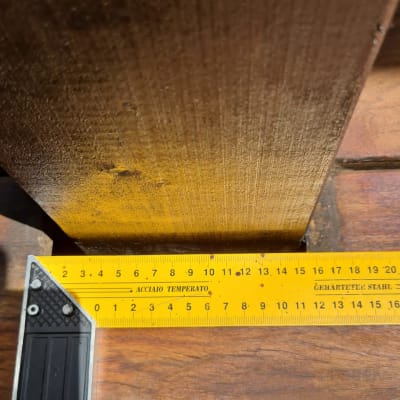 סרגל מדידה צהוב על עץ בגינה