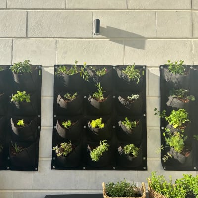 גינת קיר עם עציצים תלויים על קיר