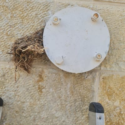 מכסה מתכת עגול עם קן יונים על קיר אבן