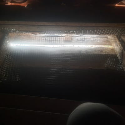 רשת מתכת מותקנת על עץ למניעת כניסת יונים