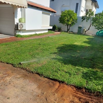 מדשאה ירוקה עם מערכת השקיה פועלת בגינה