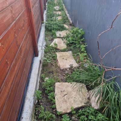 שביל אבנים עם צמחייה בין גדרות עץ ומתכת