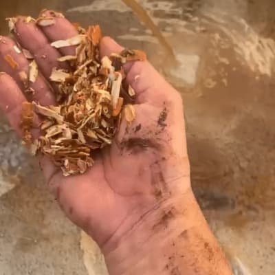 יד מחזיקה שבבי עץ ליד זרם מים