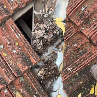 רעפים שבורים עם עלים יבשים על הגג