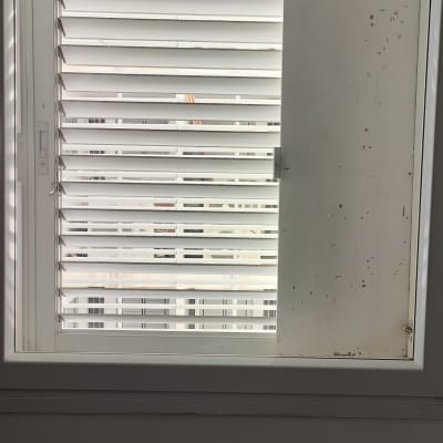 חלון עם תריסים פתוחים למחצה