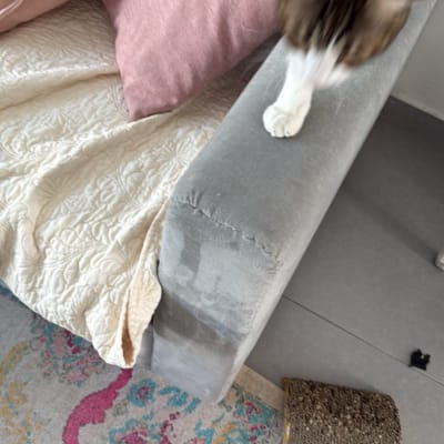 תמונה אינה מציגה עבודה בתחום