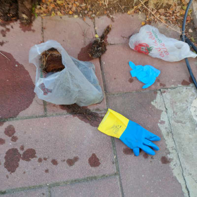 כפפות גומי כחולות וצהובות על רצפה רטובה