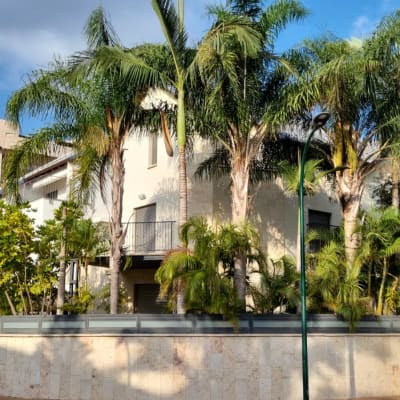 עצים גבוהים ליד בניין מגורים